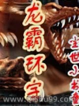龙霸环宇小说