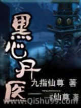 黑心丹医小说