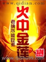火中金莲小说
