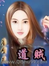 道贼(唐壁虎)小说