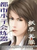 都市小子會煉器小说