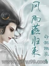 风雨燕归来小说