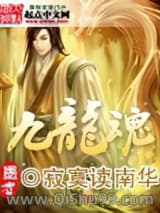 九龙魂小说