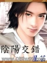 阴阳交错小说