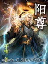 阳尊小说
