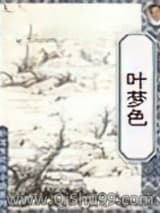 叶梦色小说
