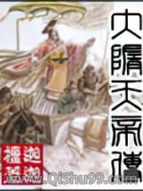 大隋天帝传小说