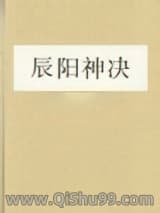 辰阳神决小说