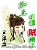 山上有个贼小说