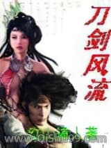 刀剑风流小说