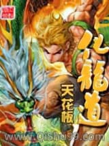 化龙道小说