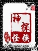 神探怪侠小说