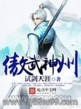 傲武神州小说
