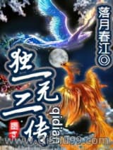 独一无二传小说