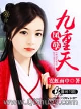 凤孽九重天小说