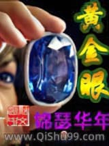黄金眼小说
