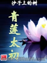 青莲太初小说