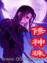 修神珠小说