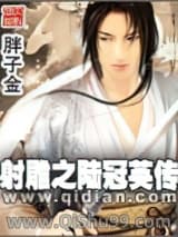 射雕之陆冠英传小说