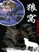 狼窝小说