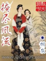 掩尽风流小说