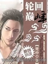 轮回巅峰小说