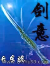 剑意-云东流小说