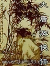 大唐游侠传小说