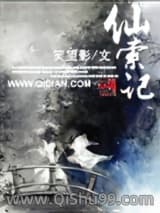 仙索记小说