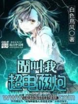 请叫我超电磁炮小说