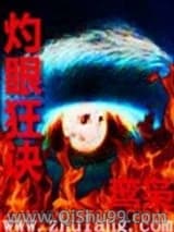 灼眼狂诀小说