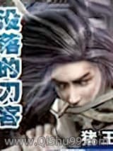 没落的刀客小说