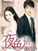 都市销魂曲小说