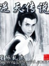 逆天传说小说