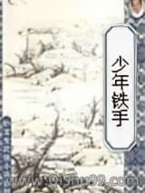 少年铁手小说