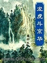 龙虎斗京华小说