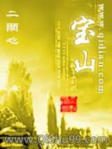 宝山小说