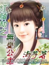 无忧公主小说