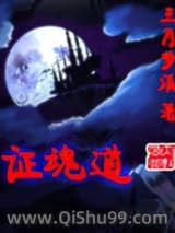 证魂道小说