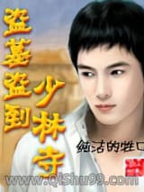 盗墓盗到少林寺小说