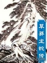 草莽龙蛇传小说