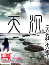 天沉小说