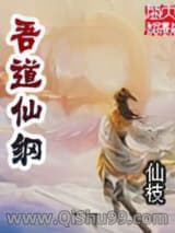 吾道仙纲小说