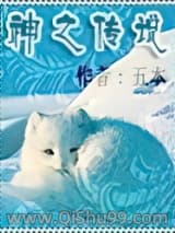 神之传说小说