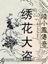 陆小凤系列绣花大盗小说