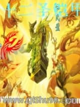 十二圣铠甲小说