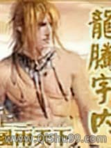 龙腾宇内(风雨天下)小说