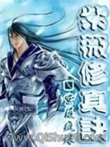 紫薇修真诀小说