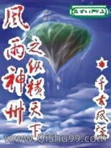 风雨神州之纵横天下小说