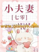 七零小夫妻小说